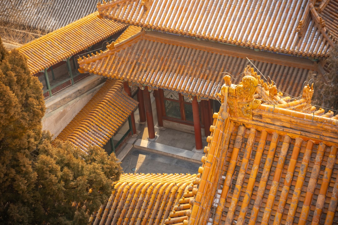陈凯